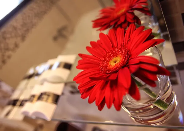 Aleksandr ブリンディジ