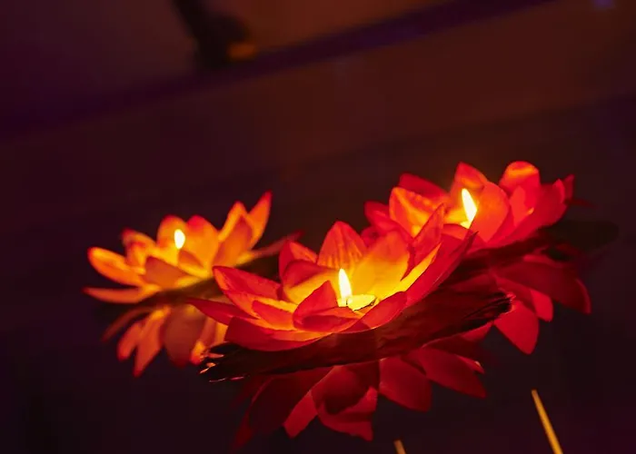 ベッド・アンド・ブレックファスト Aleksandr