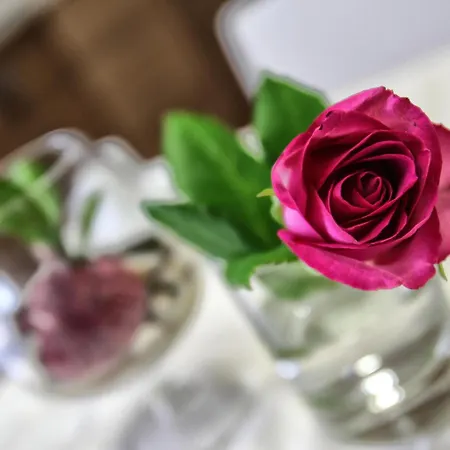 Aleksandr Bed & Breakfast