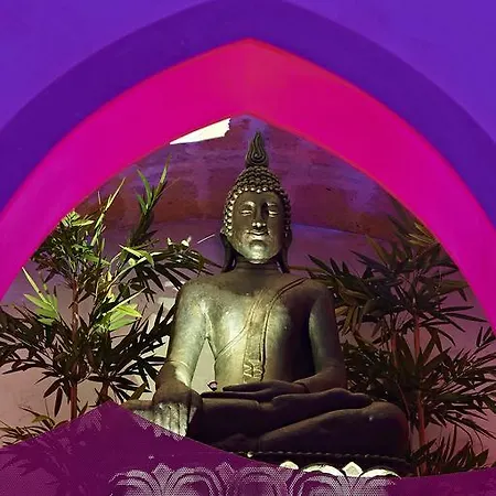 Bed & Breakfast Aleksandr 4*