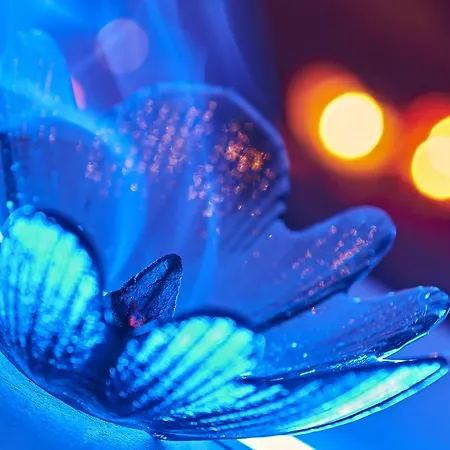 Bed & Breakfast Aleksandr Brindisi